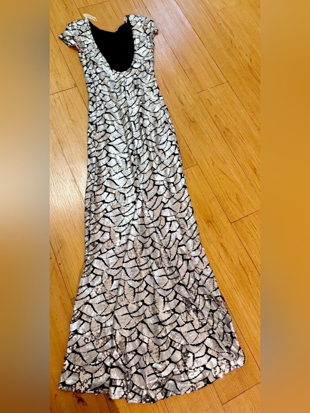 Rubber Ducky Productions, Inc. Silver Sequin Maxi Dress